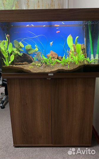 Аквариум