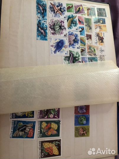 Альбомы с коллекциями марок