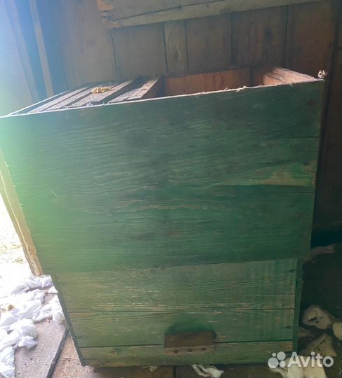 Пчелы улья пасеку