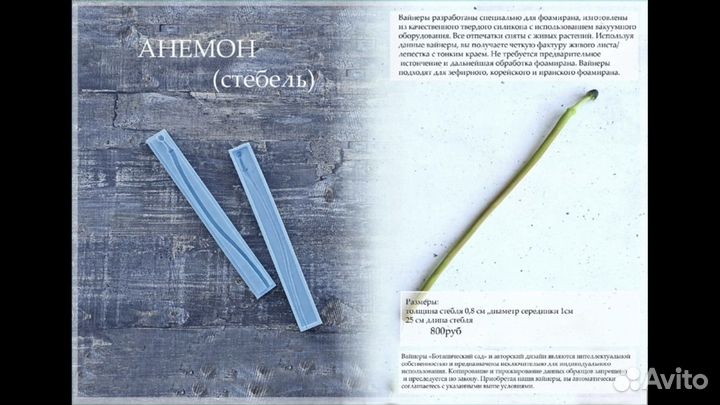 Молд стебля