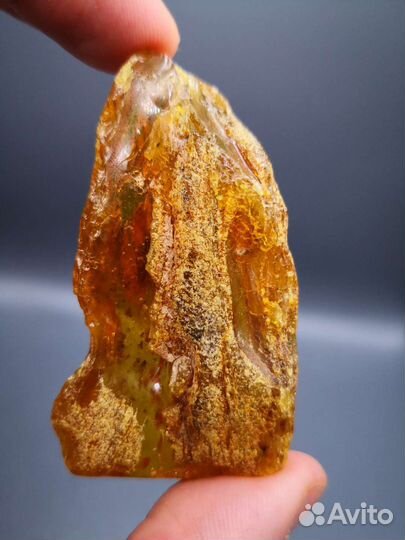 Янтарь с инклюзами, Калининград