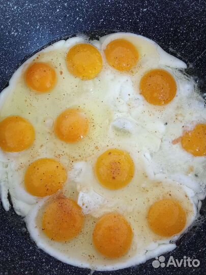 Яйца домашние