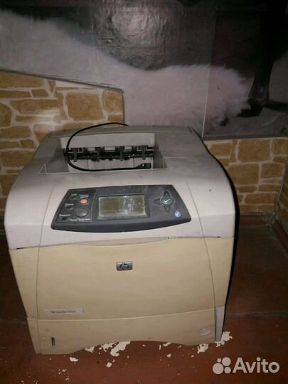 Принтер hp