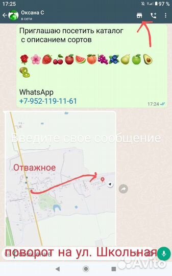 Роза плетистая Месье Дельбар