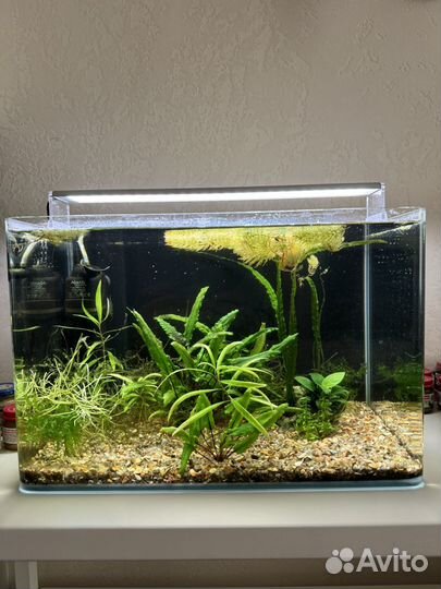 Аквариум 36 литров