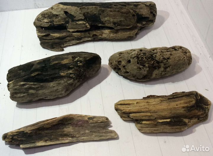 Дрифтвуд, коряги, камни, стекло, ракушки, плитка