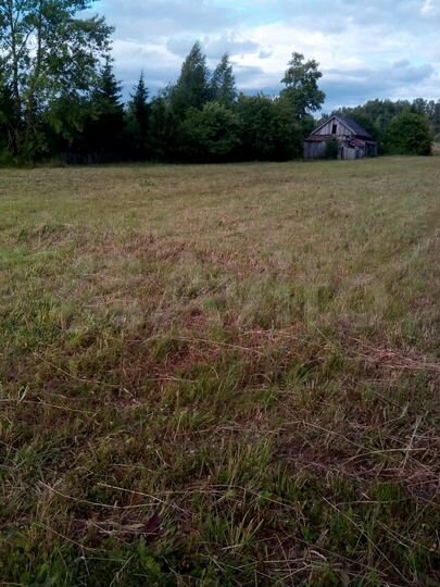 Участок 32 сот. (личное подсобное хозяйство (лпх))