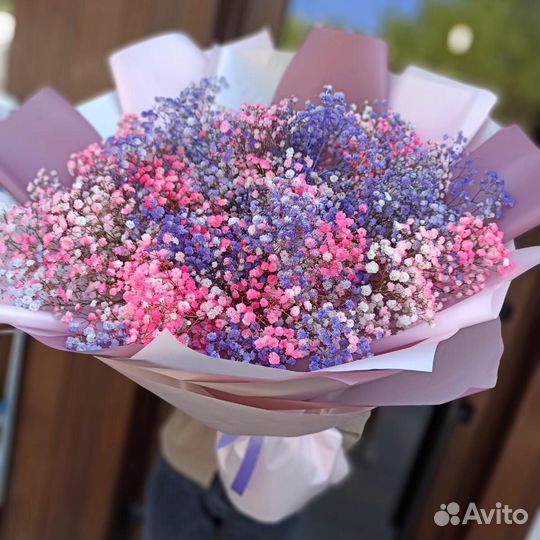 Гипсофила разных цветов