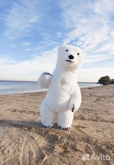 Поздравление от белый мишки