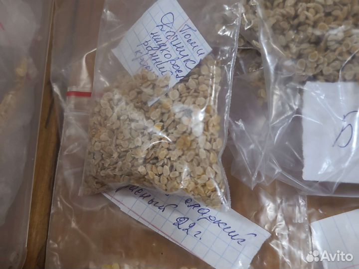 Семена домашних помидор перцев и огурцов