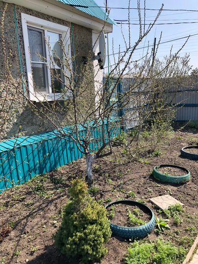 Дом 61 м² на участке 10 сот.