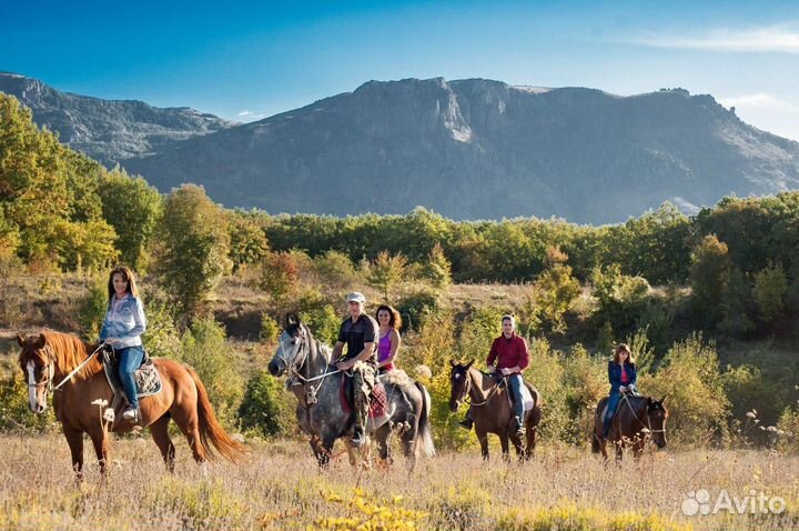 Конные прогулки. Экскурсии на лошадях