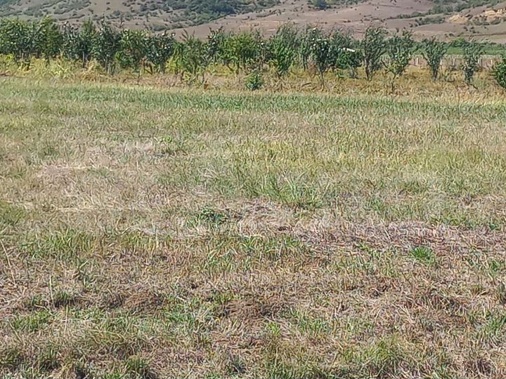 Участок 2 га (СНТ, ДНП)