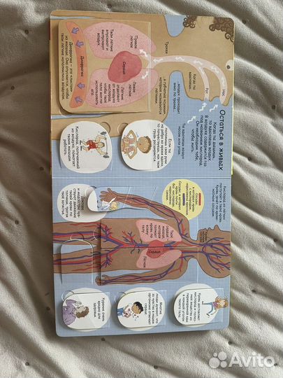 Энциклопедия для детей тело человека