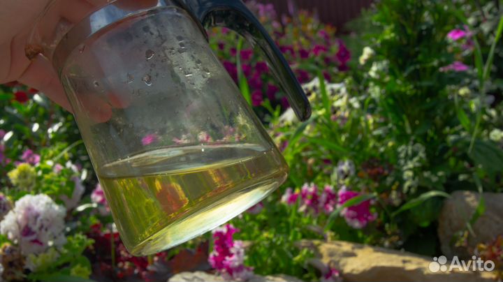 Те Гуань Инь Цин Сян