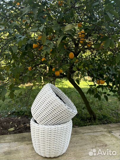 Кашпо из ротанга