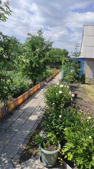 Дача 33 м² на участке 10,3 сот.