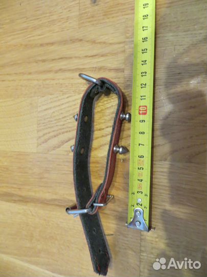 Ошейник для маленькой собачки