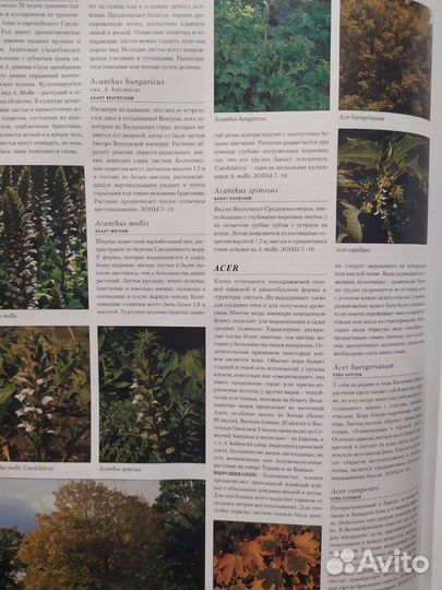 10000 комнатных и садовых растений. Botanica перев