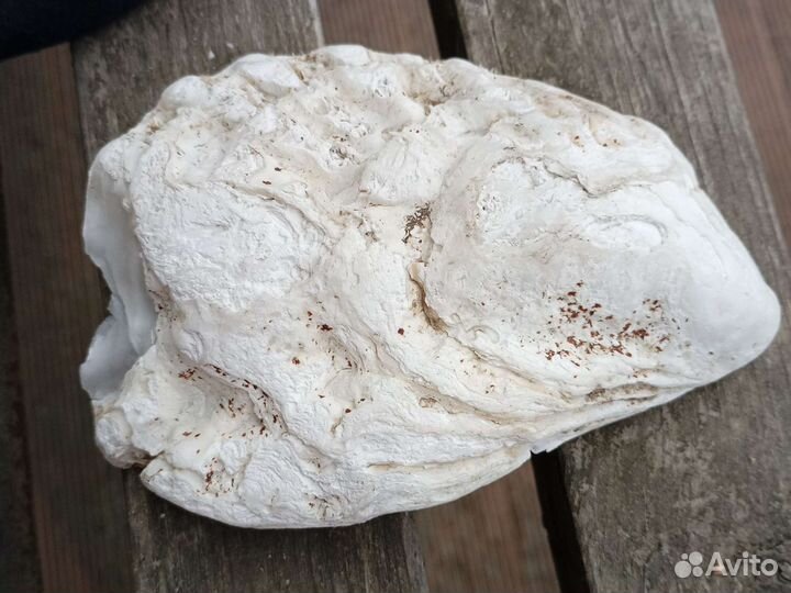 Ракушка статуэтка