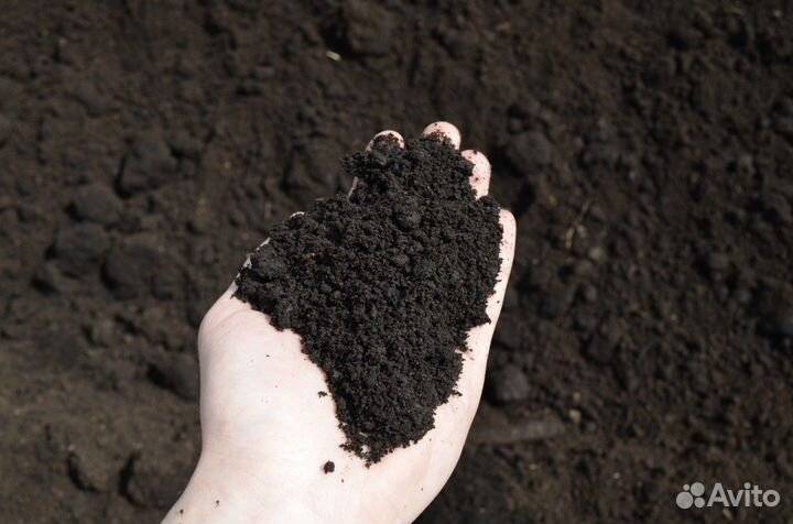 Земля плодородная с перегноем