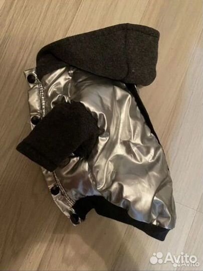 Комбинезон и куртка для собаки