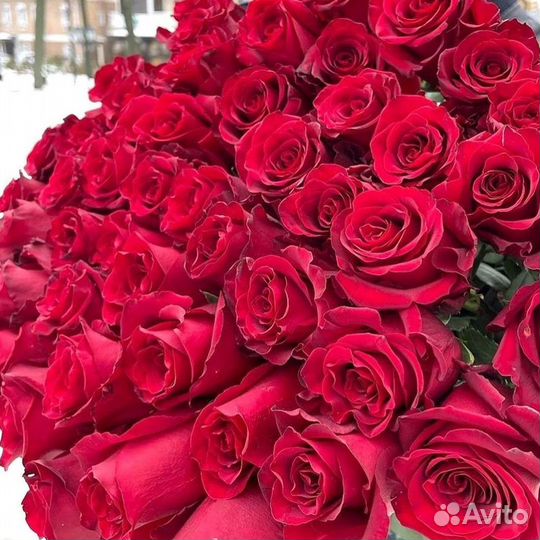 Высокие метровые розы Букеты Доставка