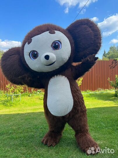 Чебурашка поздравление, аниматор