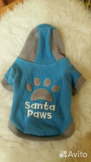 Одежда для животных