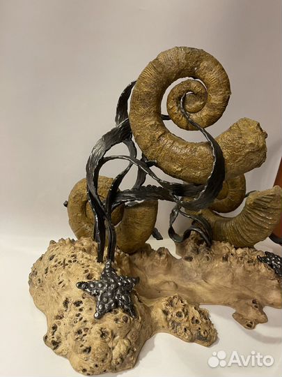 Авторская палеонтологическая инсталляция. Аммониты