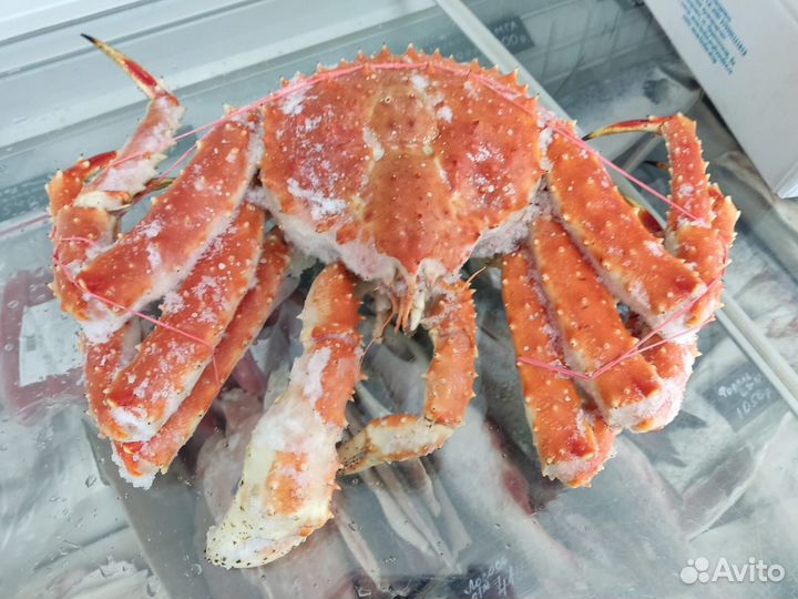 Рыба икра морепродукты