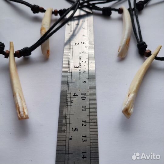 Клык кабана