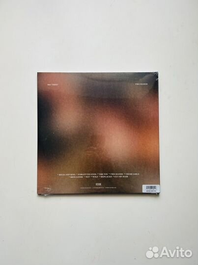 BIG thief, Two Hands