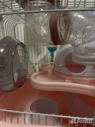 Клетка для хомяка