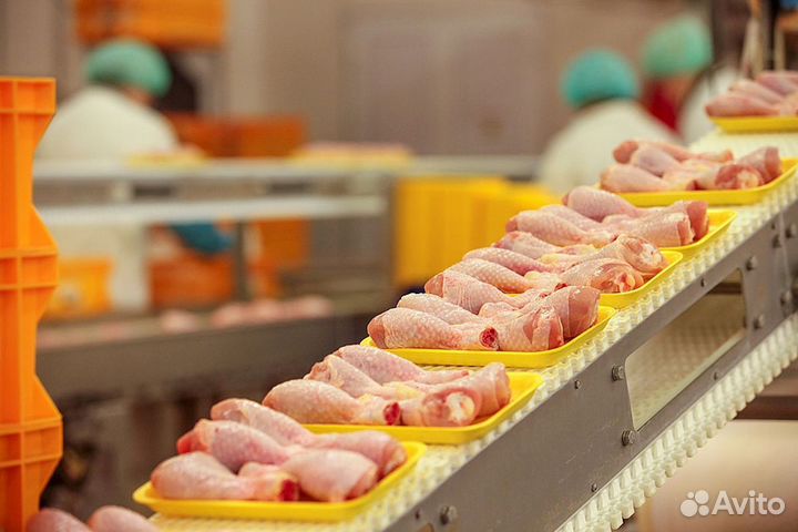 Работа на птицефабрике, быстрый старт