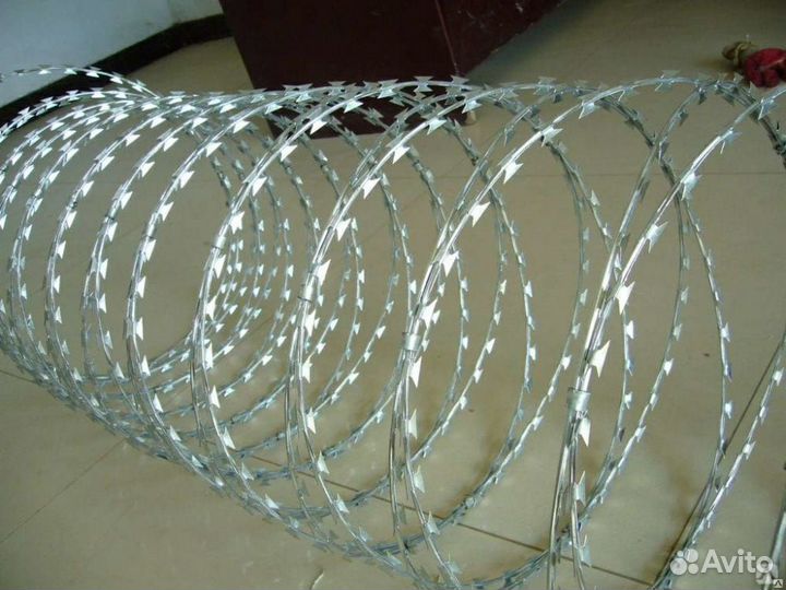 Колючая проволока, Егоза