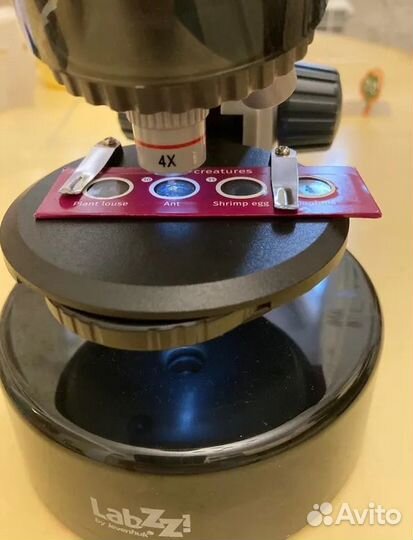 Микроскоп Levenhuk LabZZ M101