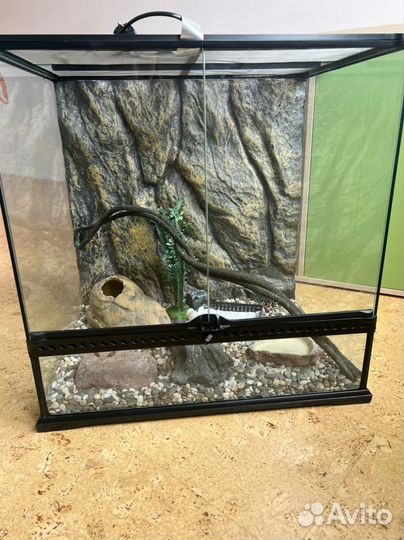 Террариум для рептилий