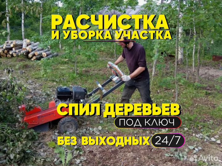 Расчистка участка.Спил деревьев