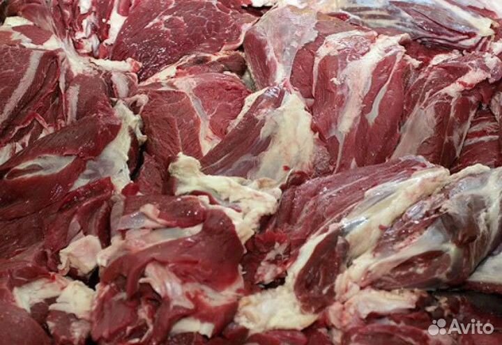 Мясо говядина домашняя