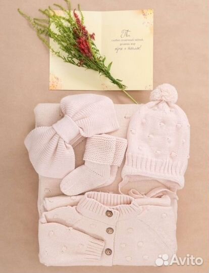 Комплект на выписку осень-весна