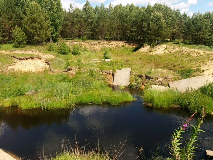 Участок 22 сот. (ИЖС)