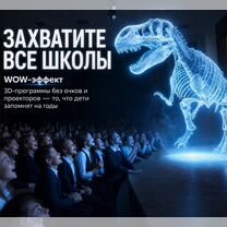 Готовый бизнес: Голографические представления, Вычегодский