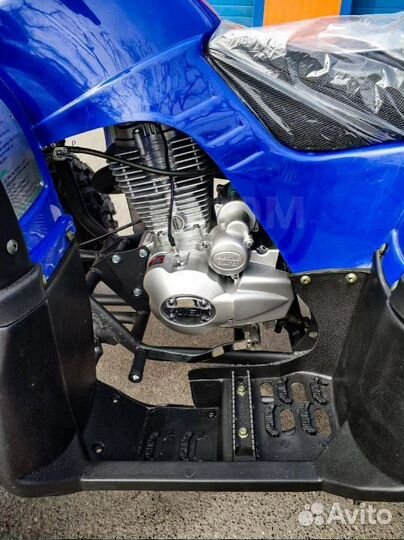 Квадроцикл Grizzly 250cc синий