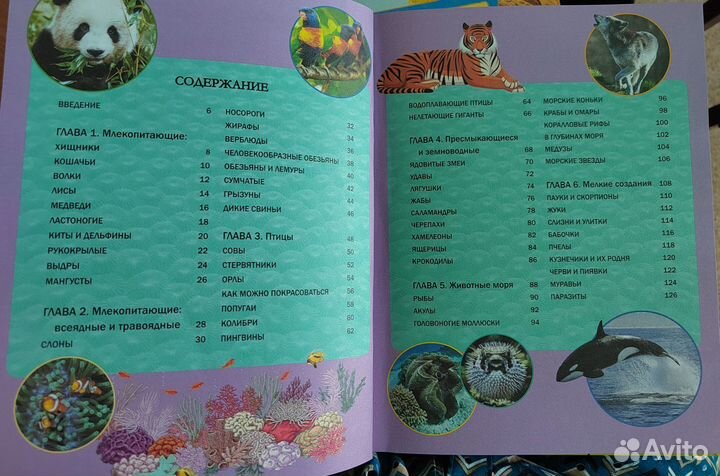 Энциклопедия про животных