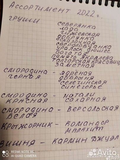 Садоводство