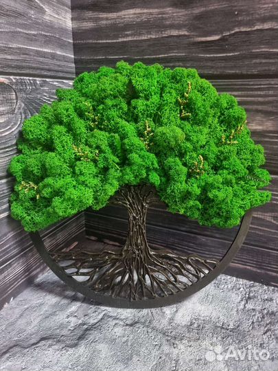 Панно,картина,декор со мхом