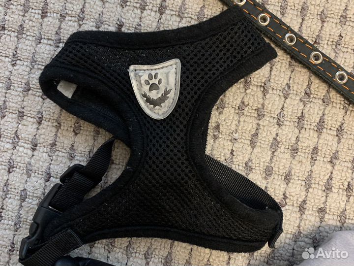 Свитер, шлейка, ошейник, кепка для собак