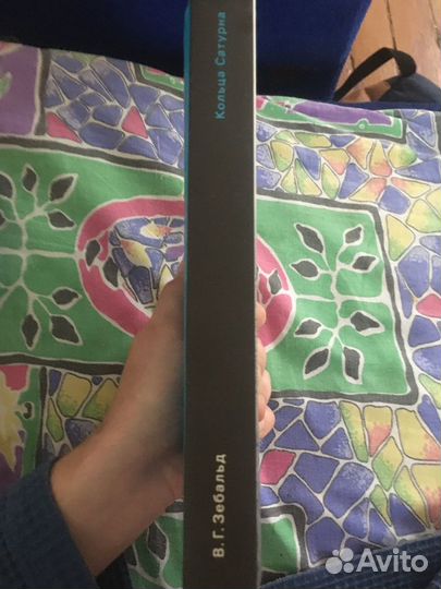 В. Г. Зебальд ‘Кольца Сатурна’