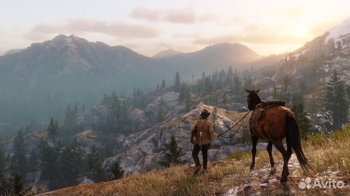 Red Dead Redemption 2 (PS4/PS5) Хабаровск